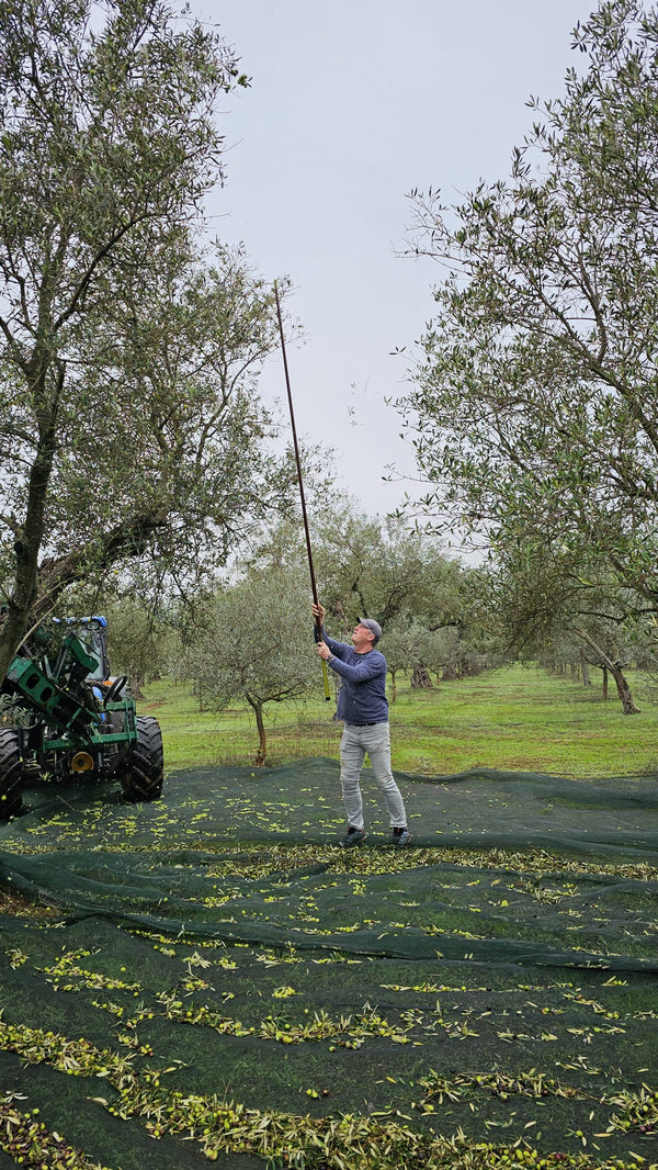 Olivenöl Extra Virgin 750ml - Traditional