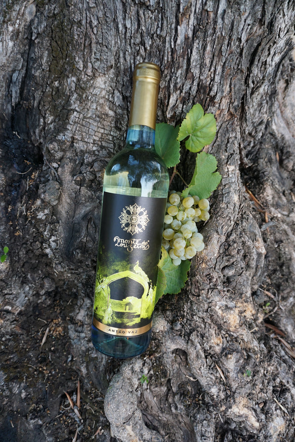 Spare 12%: Monte das Louzeiras “Kennenlern-Paket GROSS” - Das Herz des Alentejo