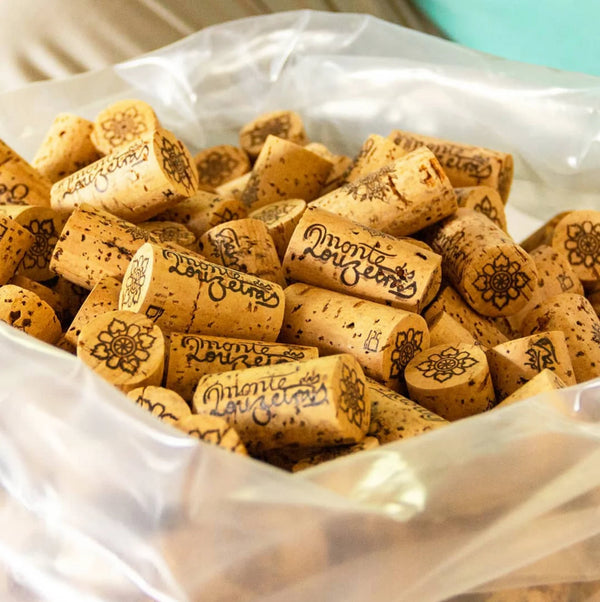 Weißwein - Antão Vaz - 2024