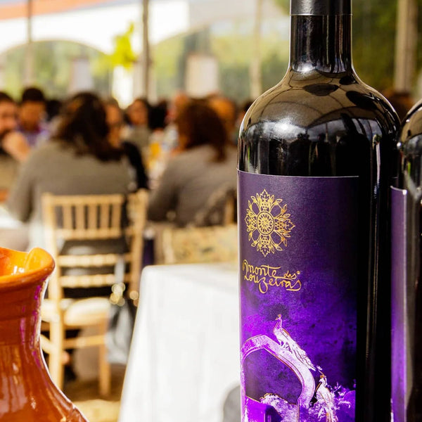 Rotwein - Syrah - 2017 (Amphore)