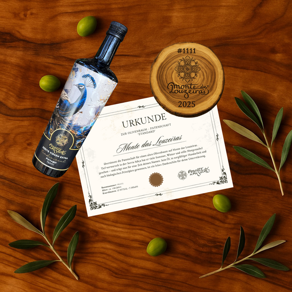 Olivenbaum - Patenschaft "Standard"