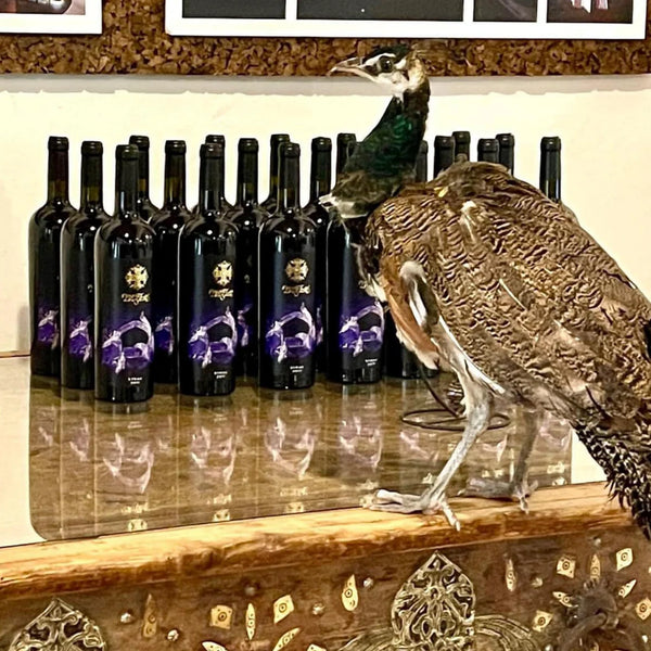 Rotwein - Syrah - 2017 (Amphore)